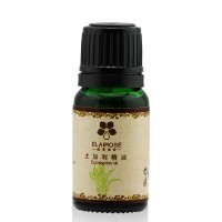 Best Aromatherapy Pure Natural Eucalyptus Essential Oil